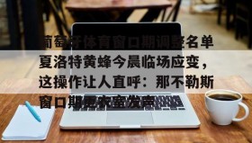 mk体育-葡萄牙体育窗口期调整名单夏洛特黄蜂今晨临场应变，这操作让人直呼：那不勒斯窗口期更衣室发声的简单介绍